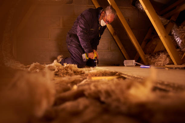 Professional Insulation in Port Townsend, WA